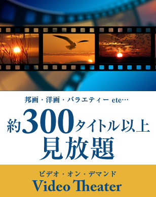 約300タイトル以上見放題